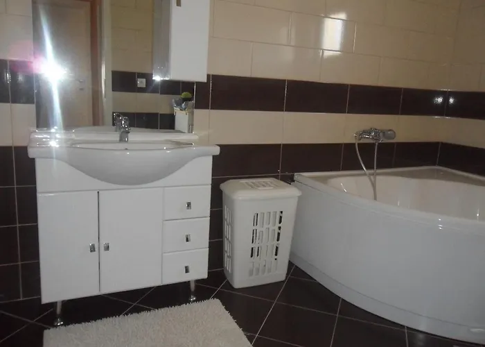 Toni Vikendica Bibinje