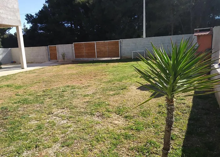 Toni Сasa de vacaciones *